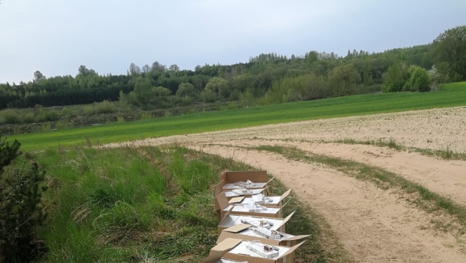 kontrabanda ar cigaretēm