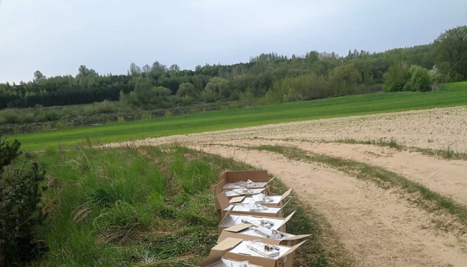 kontrabanda ar cigaretēm